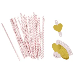 Paille rose et étiquette coeur en papier x 24
