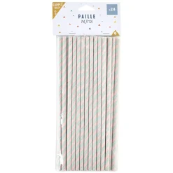 Paille rose et vert x 24