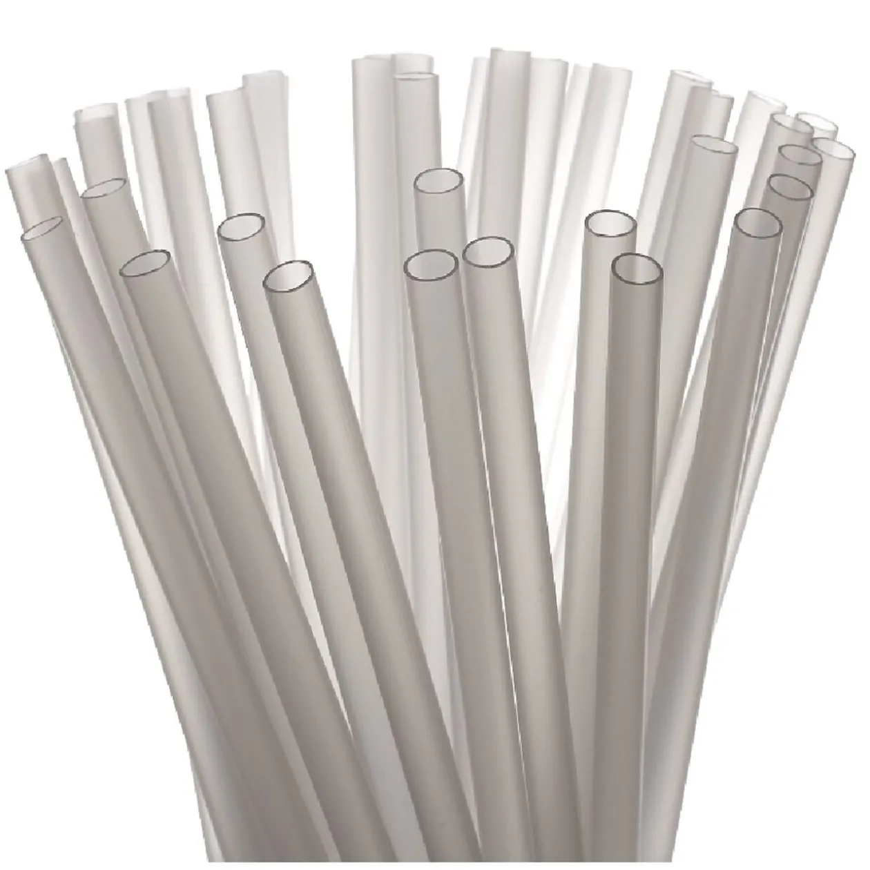 Paille réutilisable transparente x50