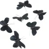 Papillon noir x6
