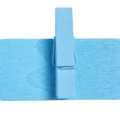 Pince ardoise bleue x6