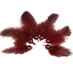 Plume déco rouge bordeaux x6