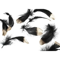 Plume noire pointe dorée Noël x20