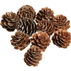 Pomme de pin à poser effet neige blanche x10