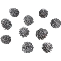 Pomme de pin à poser effet neige argentée x11