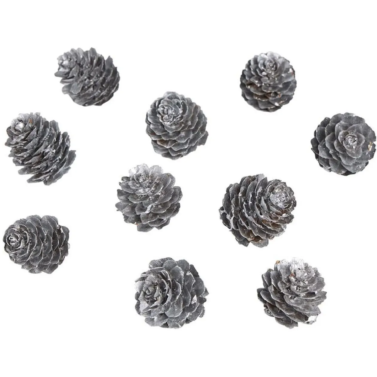 Pomme de pin à poser effet neige argentée x11