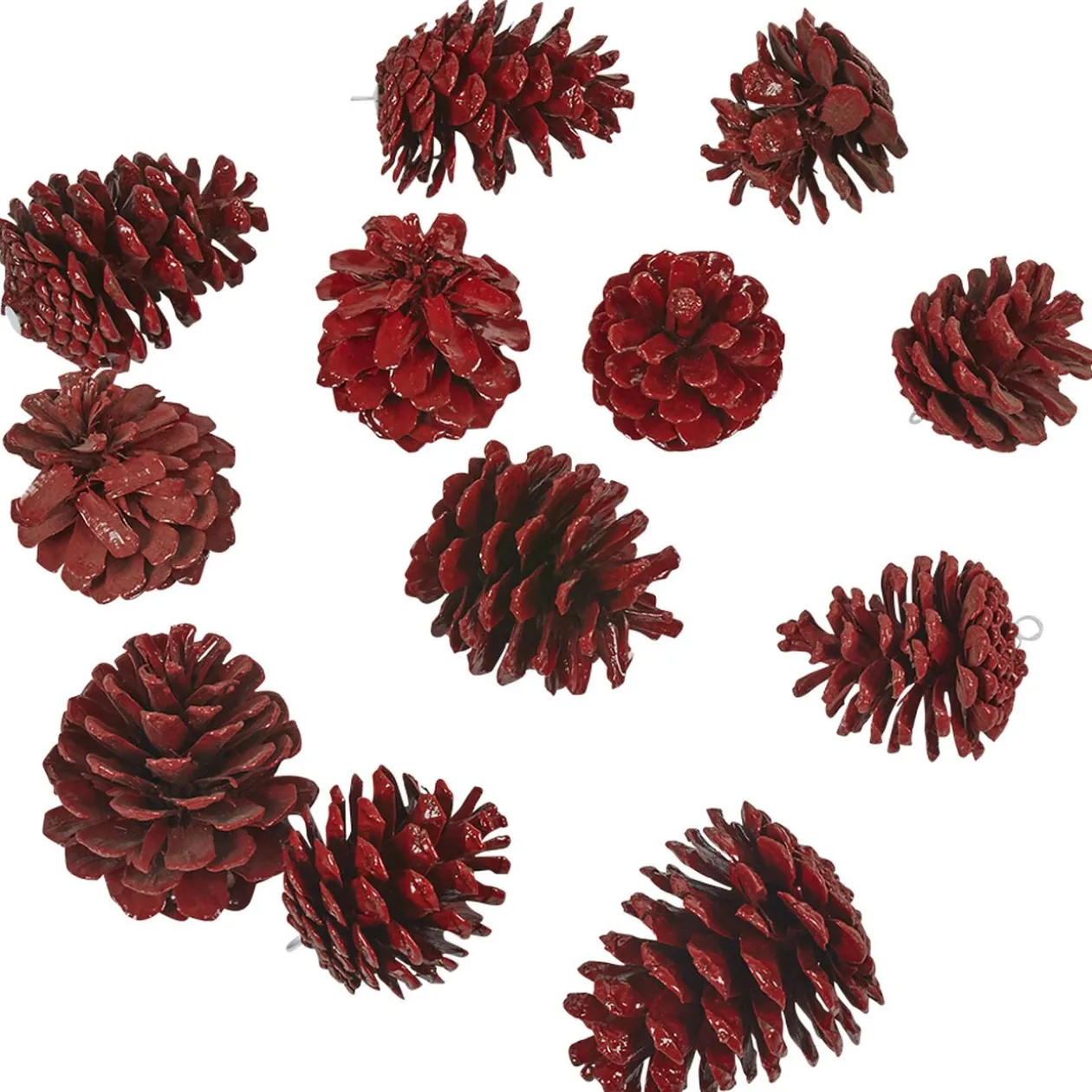 Pomme de pin rouge X12