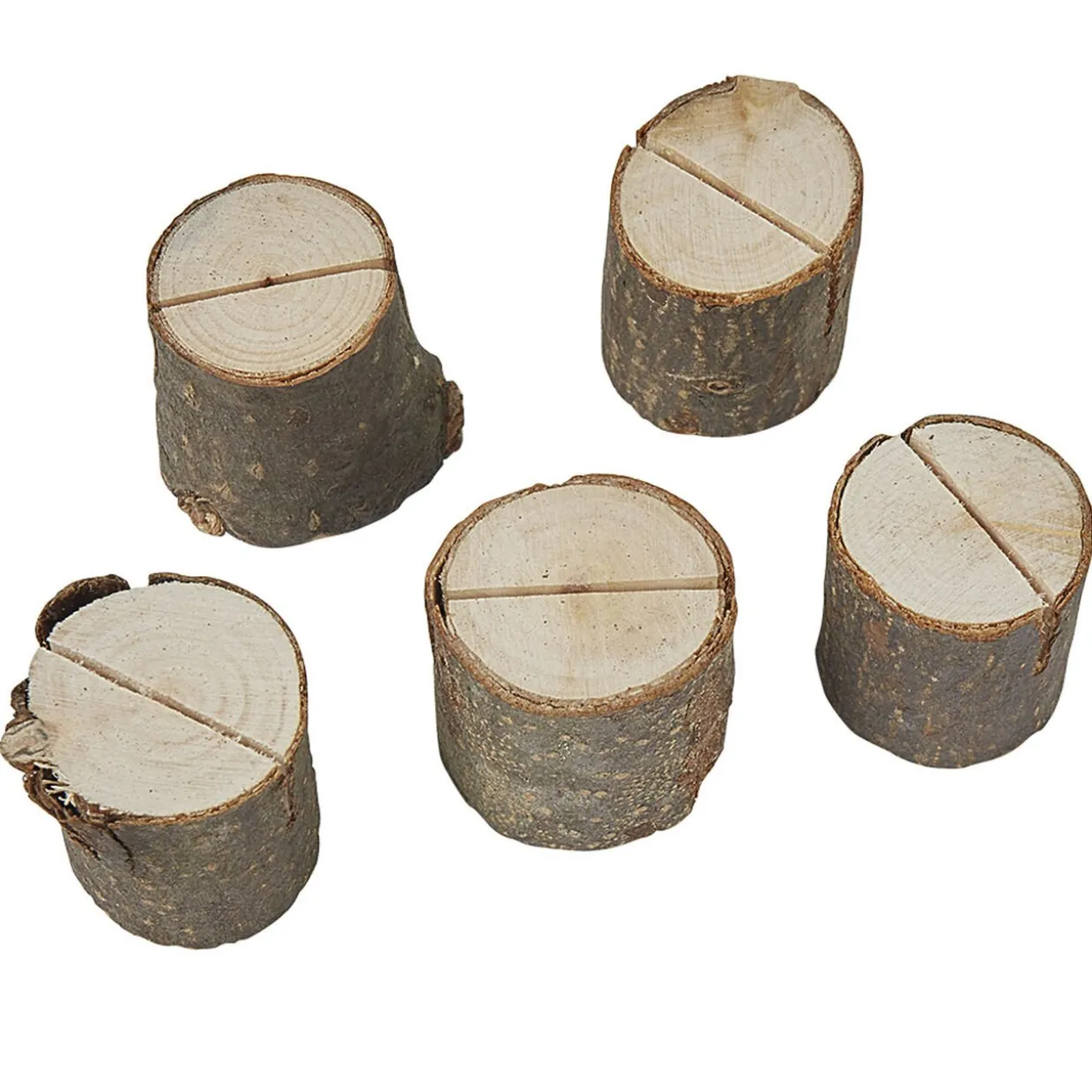 Porte nom rondin de bois x5