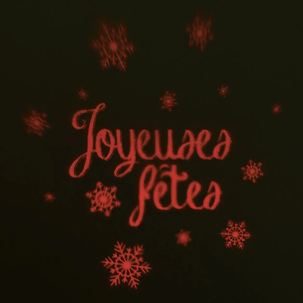 Projecteur extérieur led fixe 3 motifs Noël et fêtes