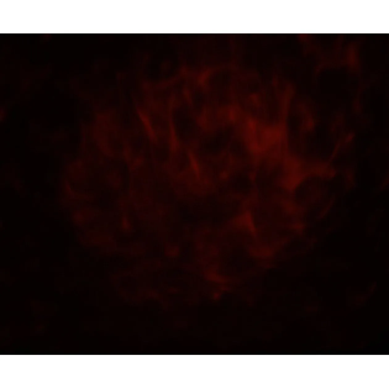 Projecteur LED effet vague Luminight couleurs changeantes