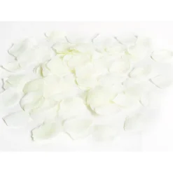Pétale de rose ivoire x120