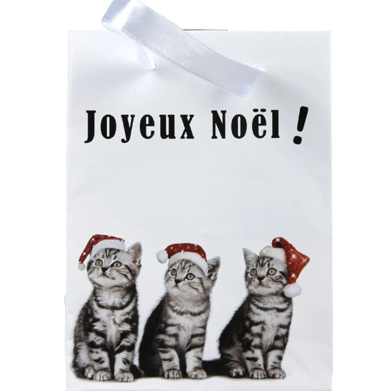 Sac cadeau Joyeux Noël motif chats petit modèle