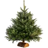 Sapin de Noël naturel Nordmann 100 cm