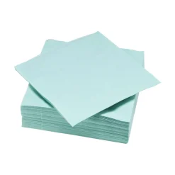 Serviette carré unie vert d'eau 2 plis en papier x50