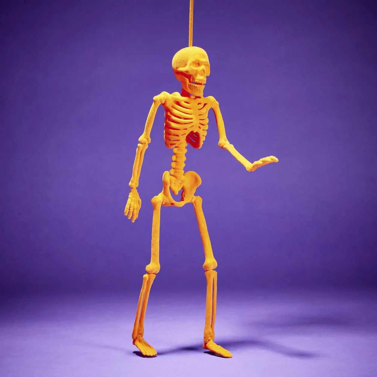 Squelette à suspendre Halloween H40cm