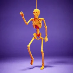 Squelette à suspendre Halloween H40cm