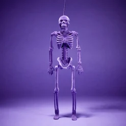 Squelette à suspendre Halloween H40cm