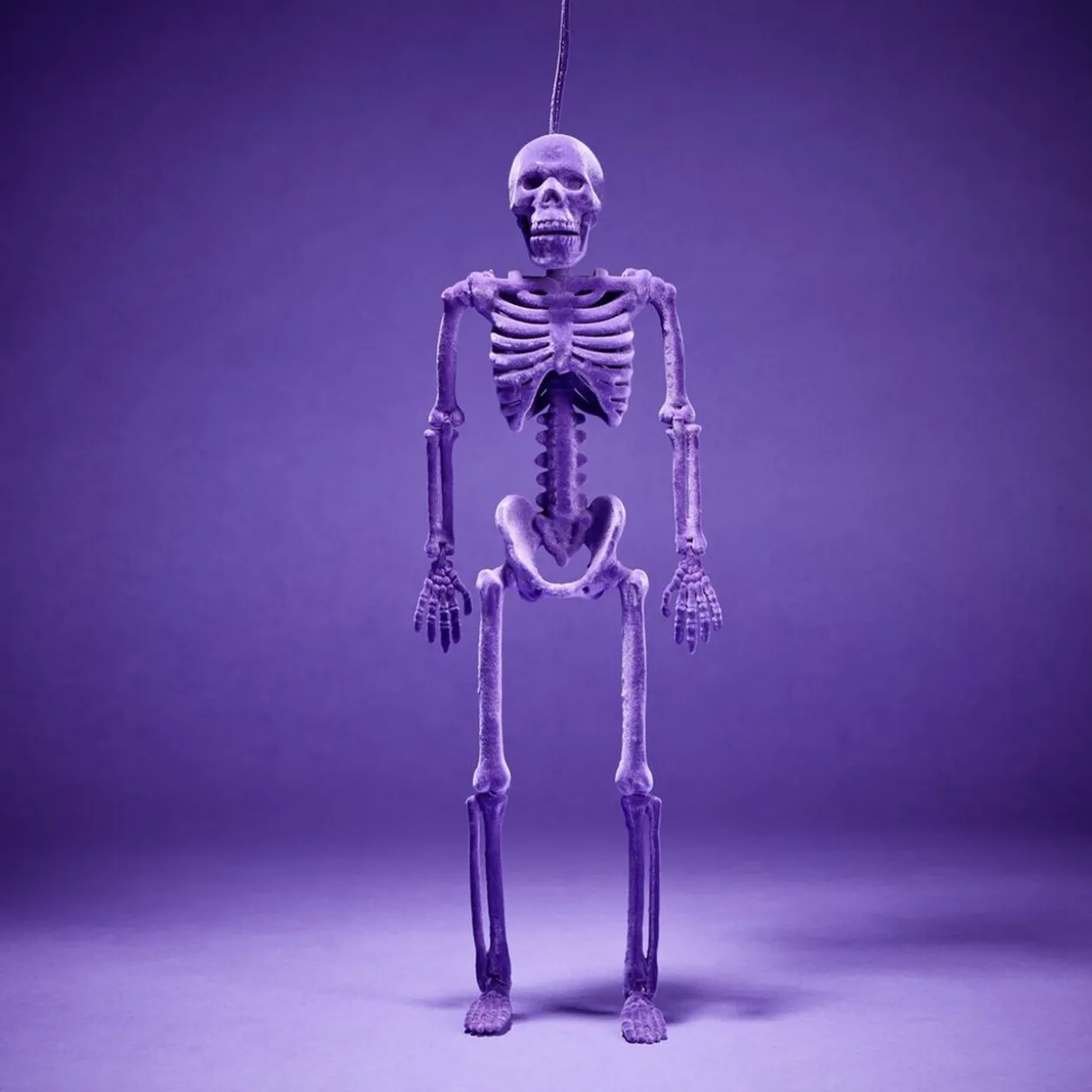 Squelette à suspendre Halloween H40cm