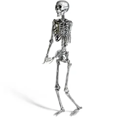 Squelette articulé Halloween H150cm plastique argenté