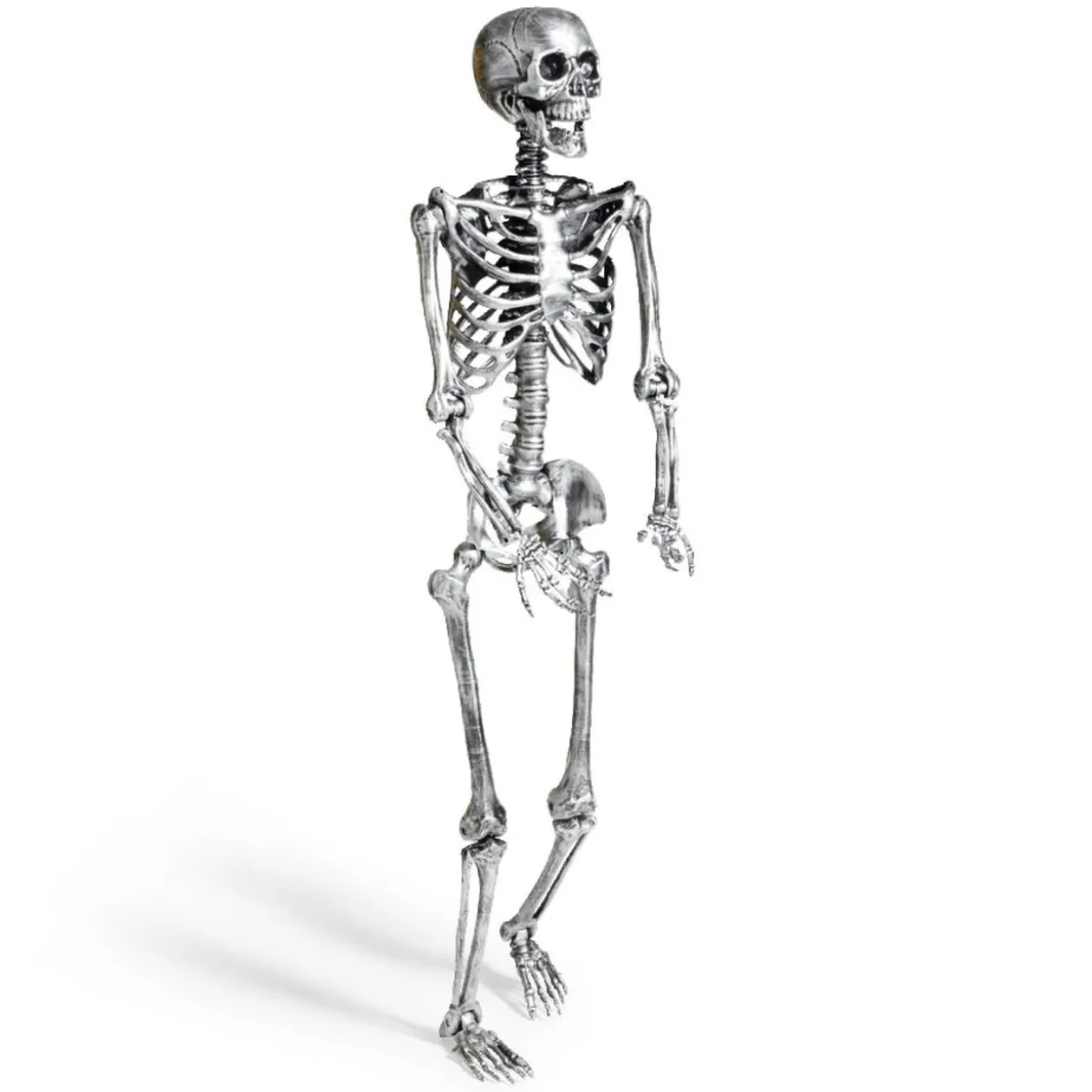 Squelette articulé Halloween H150cm plastique argenté