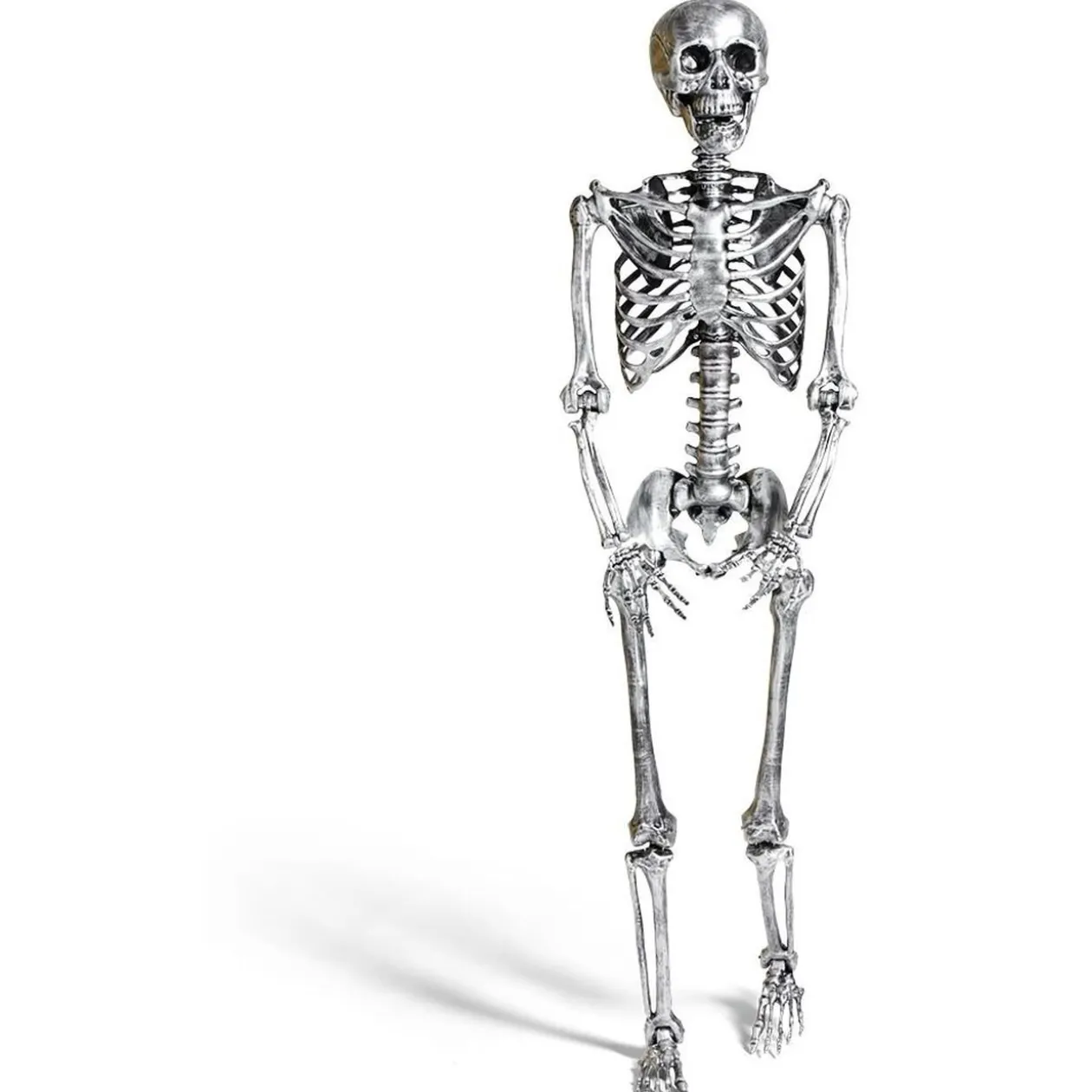 Squelette articulé Halloween H150cm plastique argenté