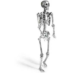 Squelette articulé Halloween H150cm plastique argenté