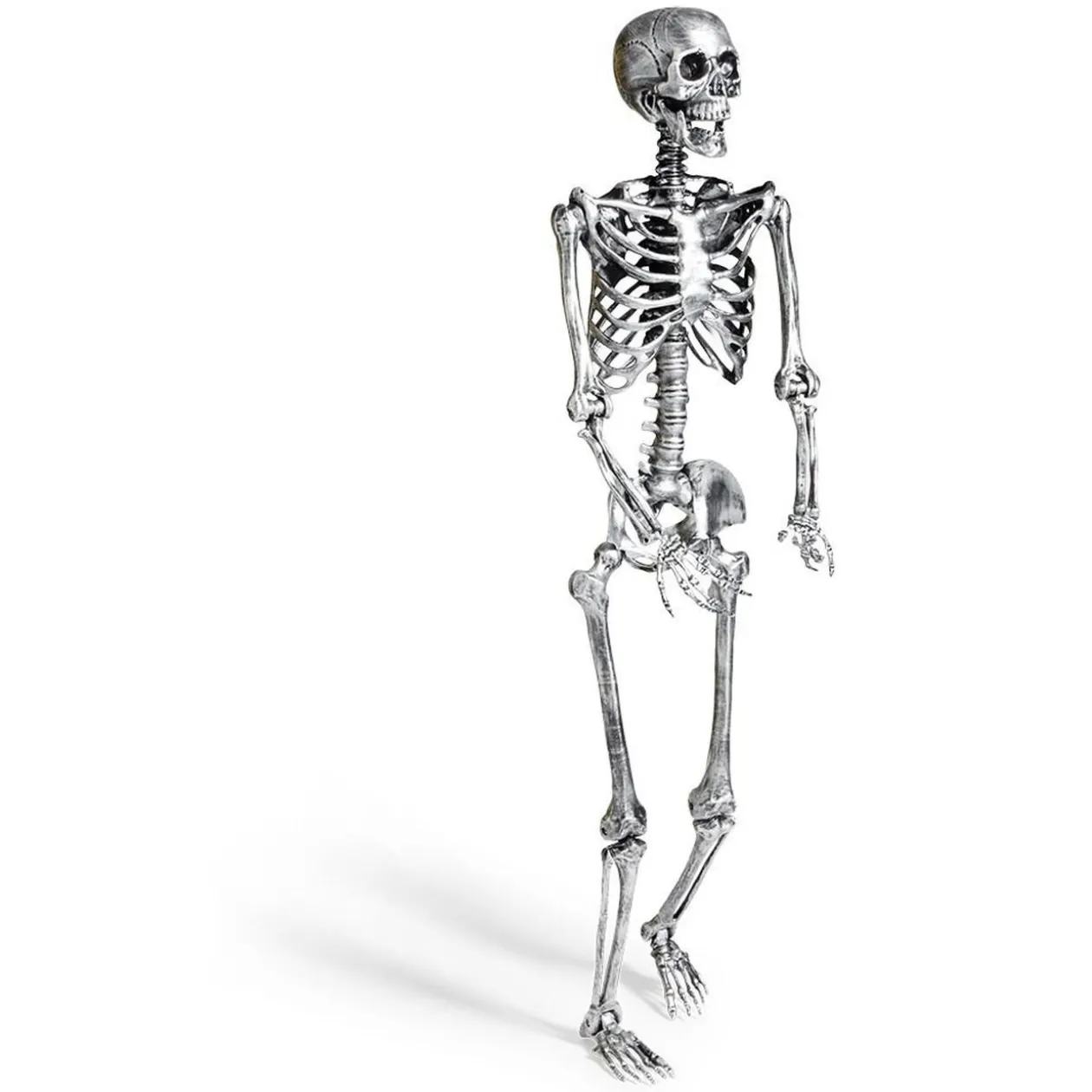 Squelette articulé Halloween H150cm plastique argenté