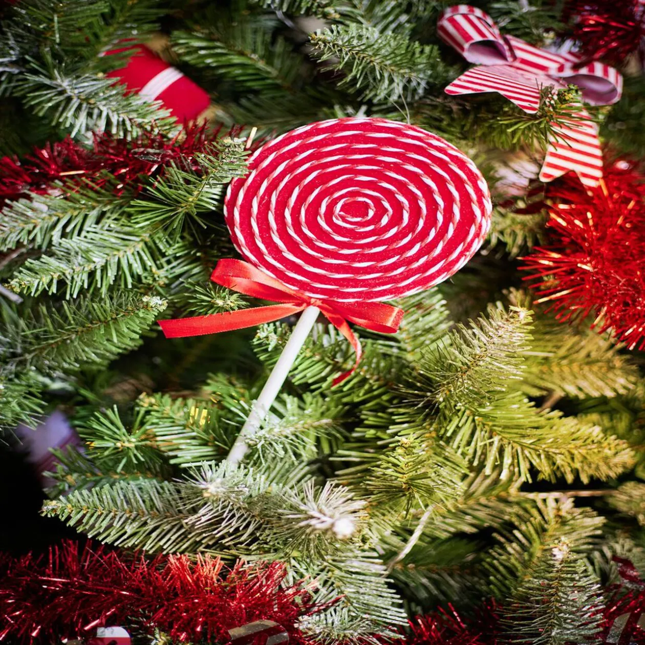 Sucette de Noël à planter rouge Ø14xH40cm