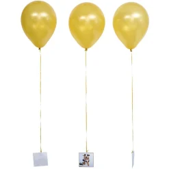 Suspension ballon pour photo x10