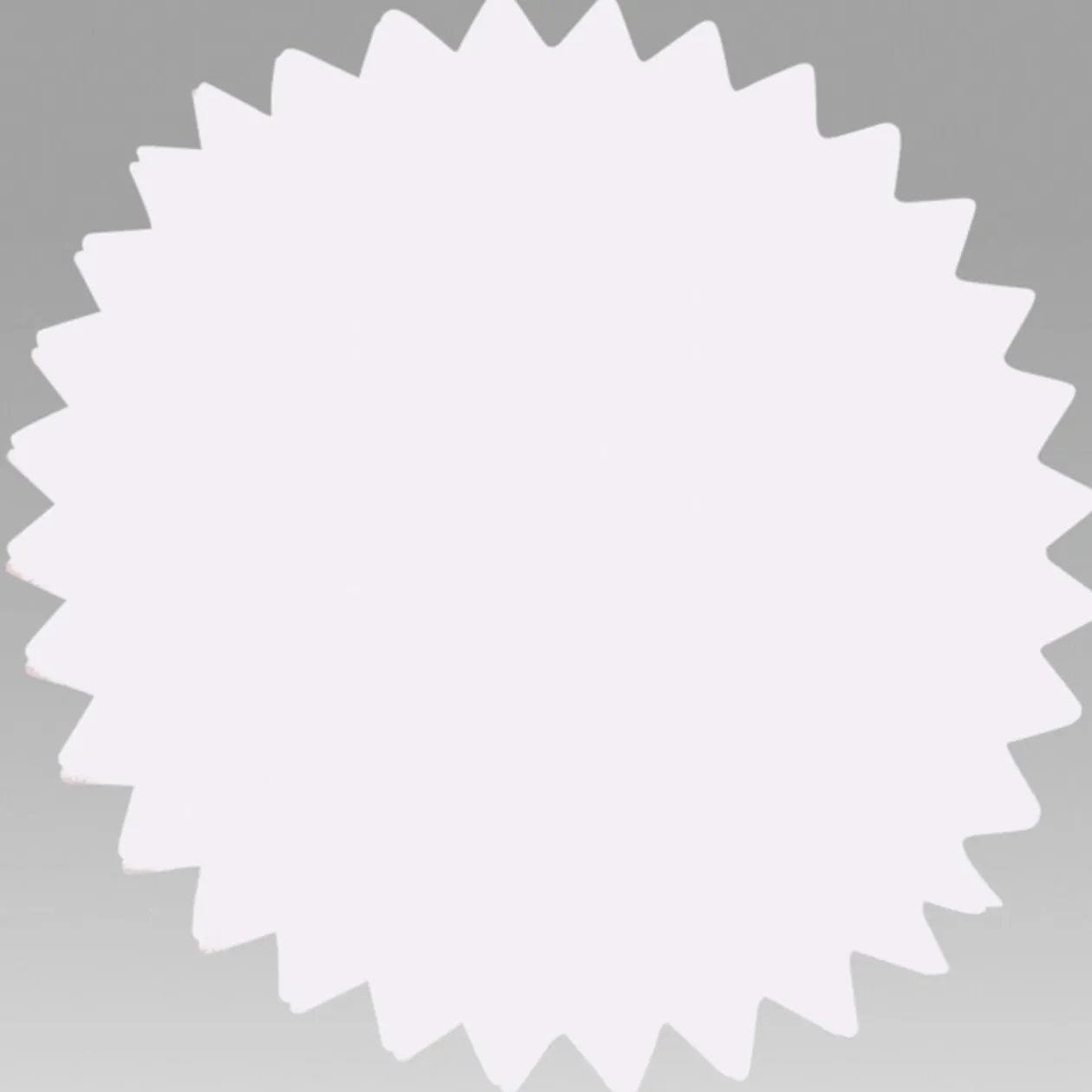 Tulle blanche pour dragées x20